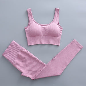 2 Piece Yoga Set Gym Clothing