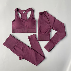 2/3/4PCS Seamless Women Yoga Set