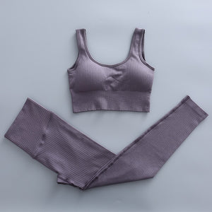 2 Piece Yoga Set Gym Clothing