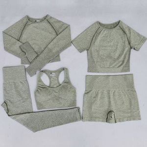 2/3/5PCS Seamless Women Workout Set