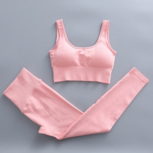 2 Piece Yoga Set Gym Clothing