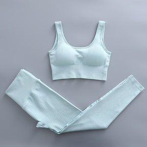 2 Piece Yoga Set Gym Clothing