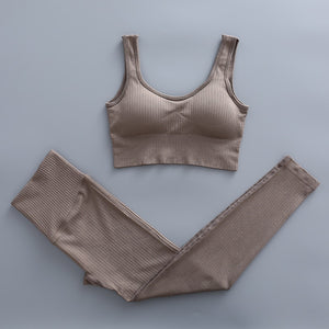 2 Piece Yoga Set Gym Clothing