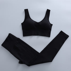 2 Piece Yoga Set Gym Clothing