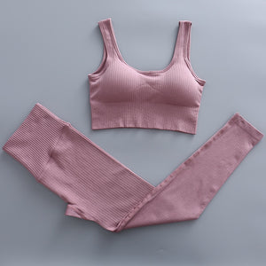 2 Piece Yoga Set Gym Clothing