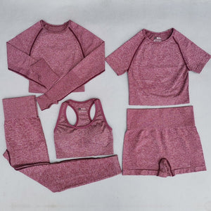 2/3/5PCS Seamless Women Workout Set