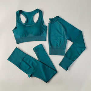 2/3/4PCS Seamless Women Yoga Set