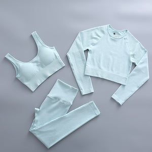 2 Piece Yoga Set Gym Clothing