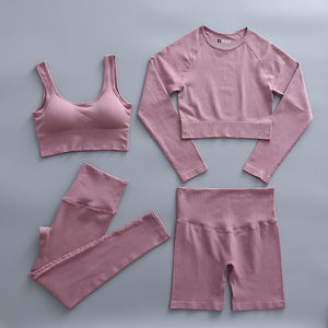 2 Piece Yoga Set Gym Clothing