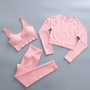 2 Piece Yoga Set Gym Clothing