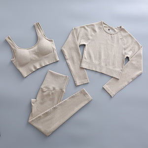 2 Piece Yoga Set Gym Clothing