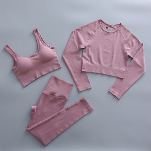 2 Piece Yoga Set Gym Clothing