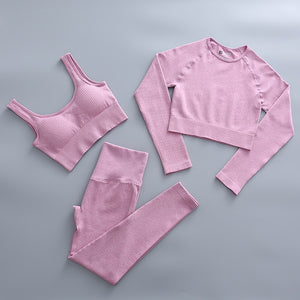 2 Piece Yoga Set Gym Clothing