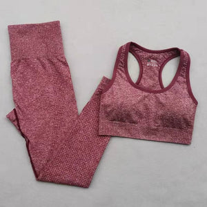 2/3/5PCS Seamless Women Workout Set