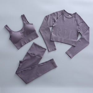 2 Piece Yoga Set Gym Clothing